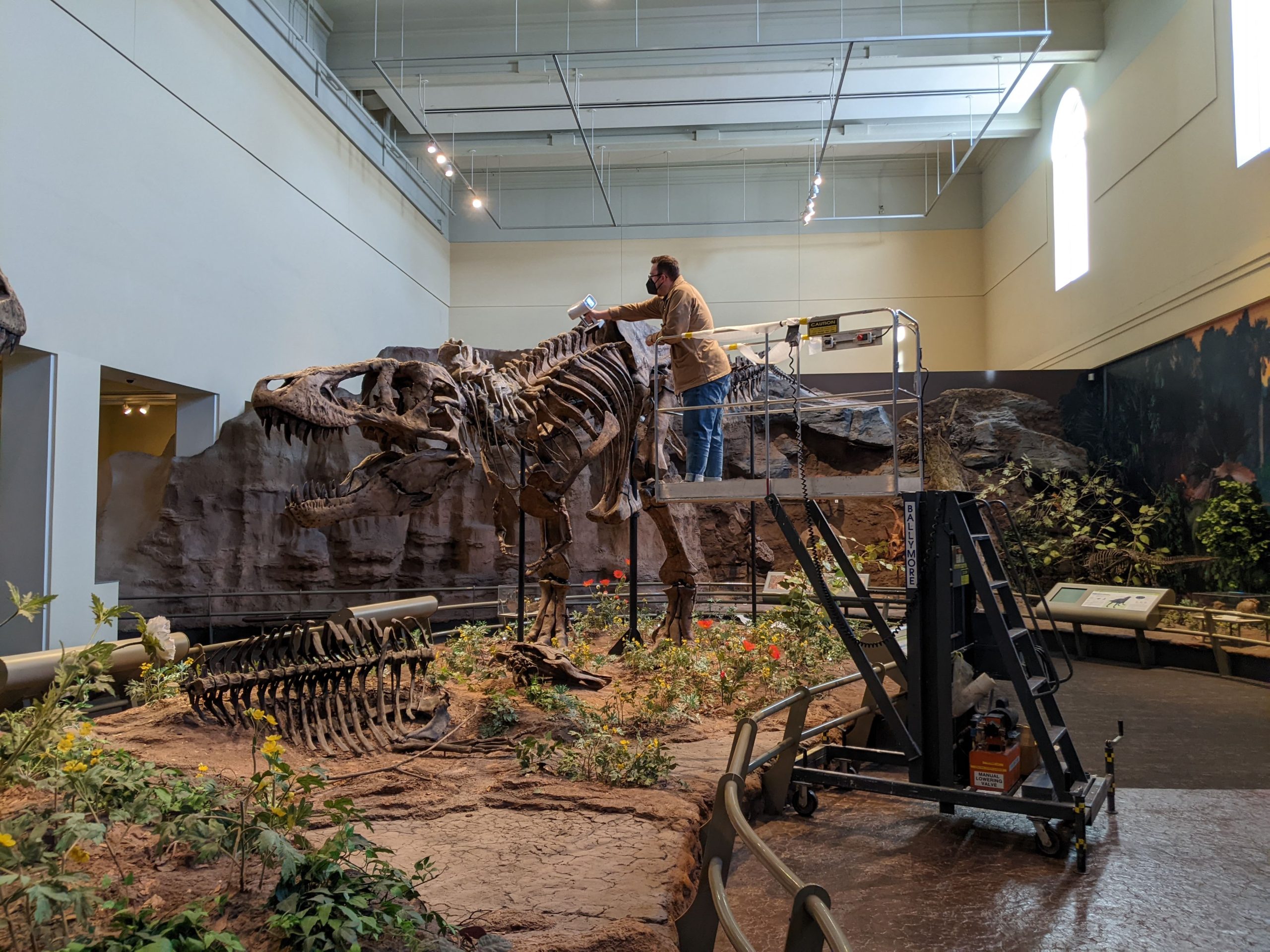 Me scanning a T rex fossil on display at the Carnegie Museum of Natural History
